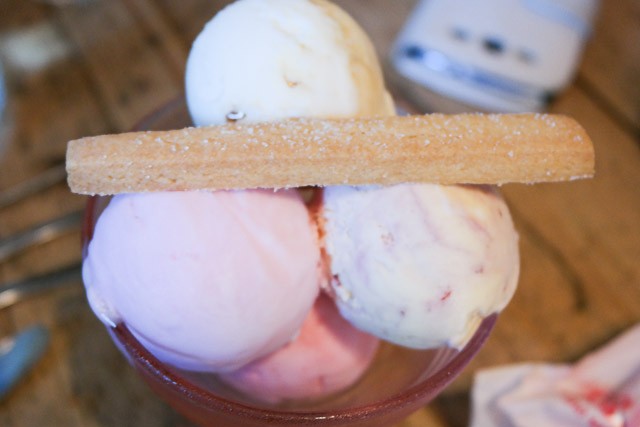 Ice Cream - The Gun in Healthfield, East Sussex