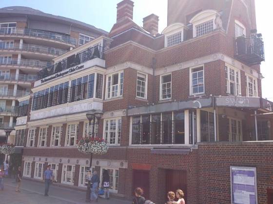 The Swan at The Globe, Bankside, London